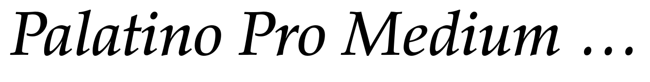 Palatino Pro Medium Italic